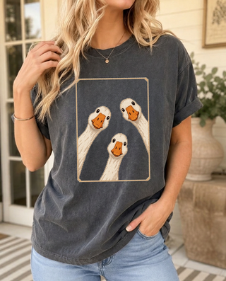 Three Goose Window Comfort Colors Farmhouse Tee