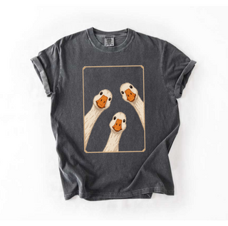 Three Goose Window Comfort Colors Farmhouse Tee