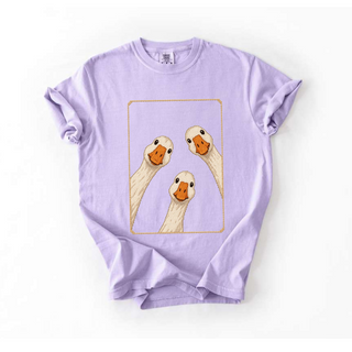 Three Goose Window Comfort Colors Farmhouse Tee