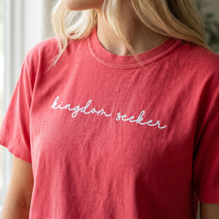 Kingdom Seeker Embroidered Christian Comfort Colors Tee